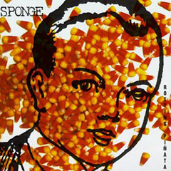 Sponge Rotting Pi√±ata album cover